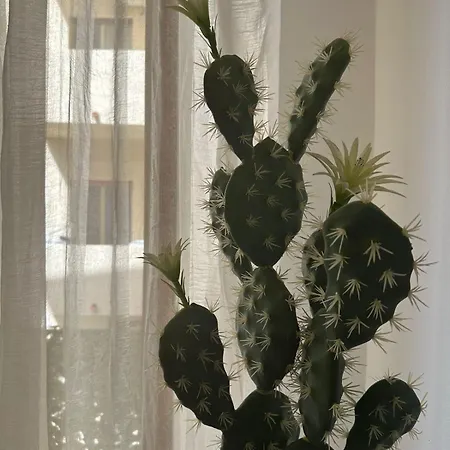 Civico 98 מילאצו